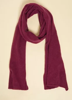 Sud Express Shoes & Accessories|Echarpe En Cachemire Prune Elise