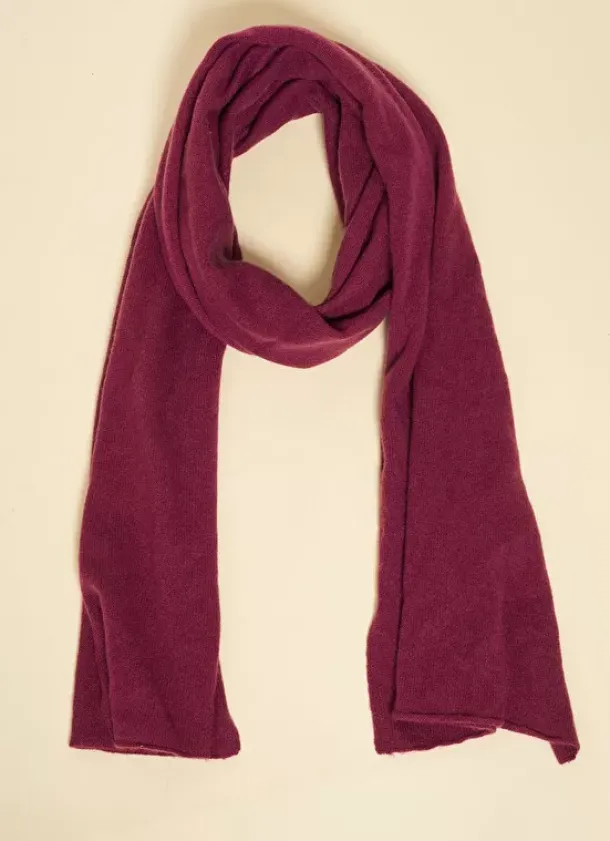 Sud Express Shoes & Accessories|Echarpe En Cachemire Prune Elise
