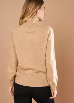 Sud Express Jumpers & Cardigans|Pull A Col Montant Camel Missy