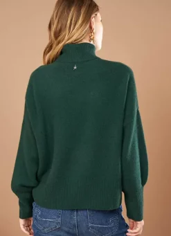 Sud Express Jumpers & Cardigans|Pull Col Montant, 100% Cachemire Basilic Monpran