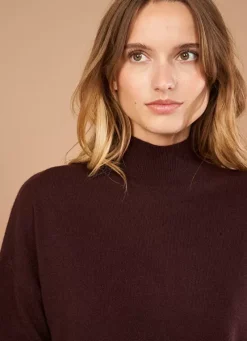 Sud Express Jumpers & Cardigans|Pull Col Montant En Cachemire Marron Myangela