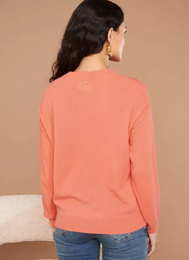 Sud Express Jumpers & Cardigans|Pull Col Rond 100% Cachemire Granita Mapoue