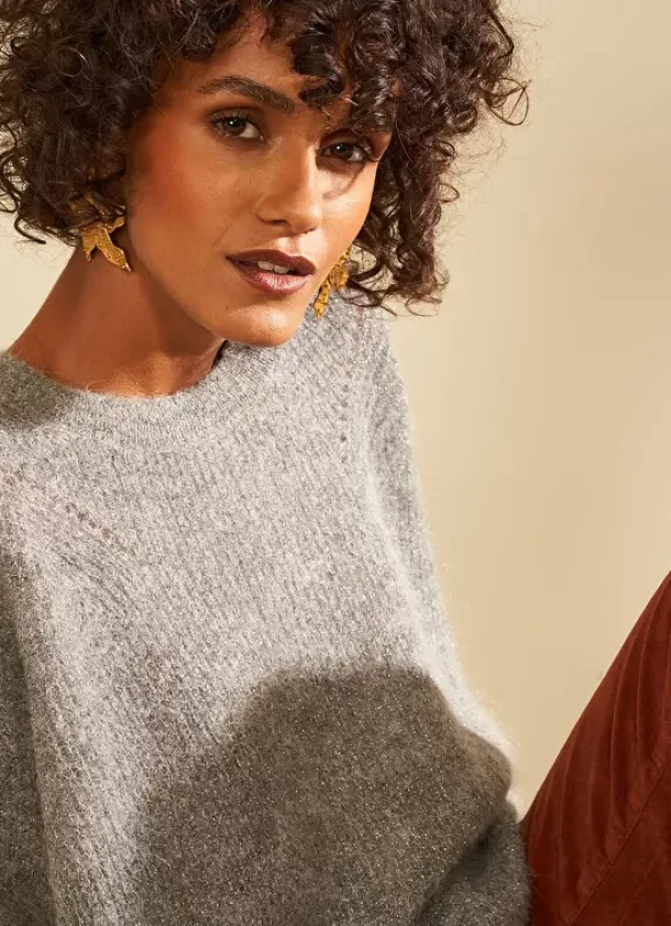 Sud Express Jumpers & Cardigans|Pull Col Rond Gris Moncoeurox